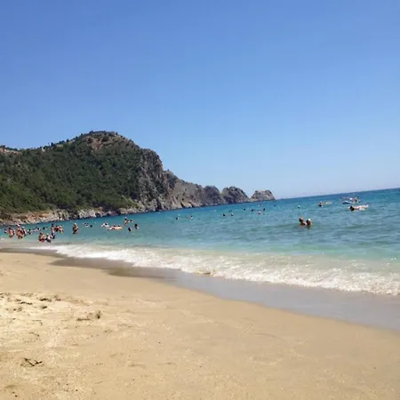 Palmiye Park 3*